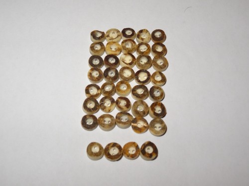 Natur 0 7 - 39, cm