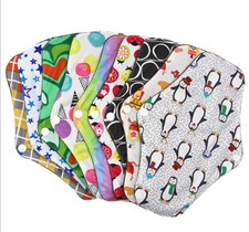 10 Stück 25cm Slipeinlagen