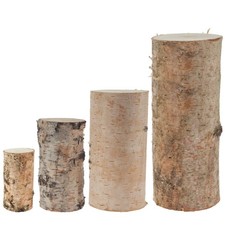 Echtholz Birkenstämmchen