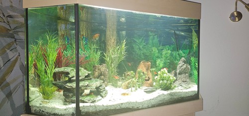 Top eckaquarium esche ahorn - top, in