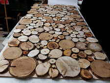 Baumscheiben Astscheiben