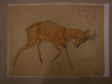 48211 - Rehbock. Aquarell von Professor Alfred Schwarz. Rechts signiert und ...