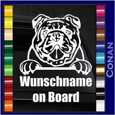 Englische Bulldogge Auto