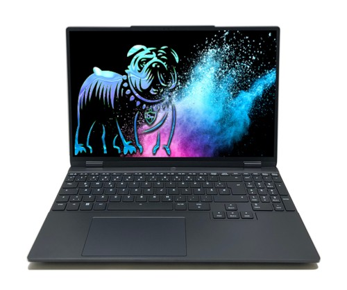 Schenker xmg evo e25vmp - schenker,