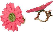 Donauklammer Ø 35 mm Motiv