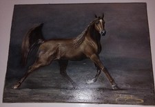 Ölbild "Arabisches Pferd"