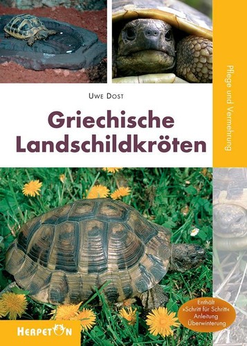 Griechische landschildkröten - griechische,