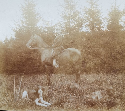 Original foto 1900 - foto, reiter
