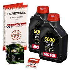 Honda CRF 450 R, 17-24, Motul