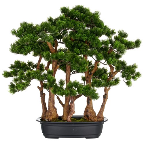 Kunstpflanze bonsai kiefer - bonsai,