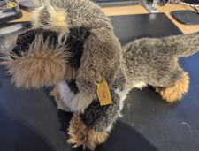 Steiff Rauhaardackel Dackel