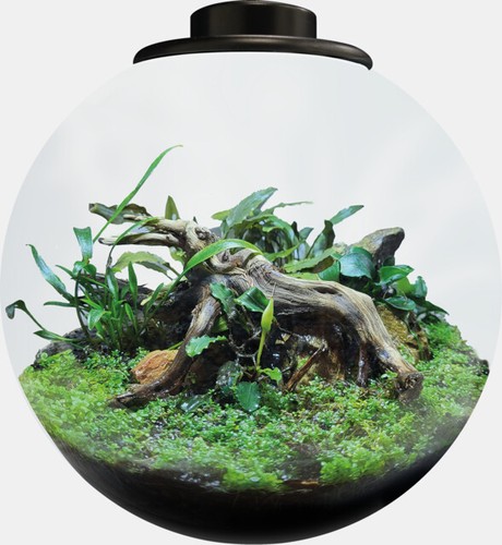 Bioart bowl 225 schwarz biorb - 225,