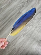 27 cm blau gelbe 💙💛