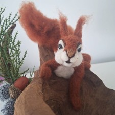 Eichhörnchen, Eichhörnchen