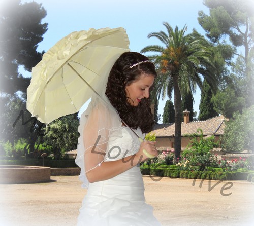 Regenschirm hochzeit daphne - hochzeit,