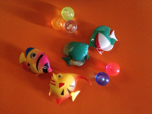 Qualle fische kugeln - fische, ->