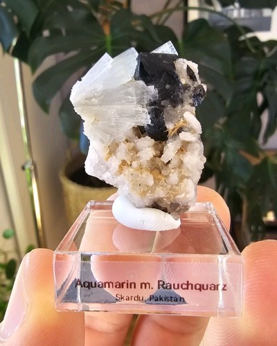 Aquamarin mit rauchquarz - mit,