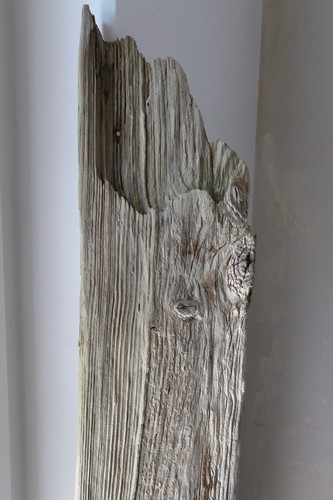 Treibholz schwemmholz - cm,