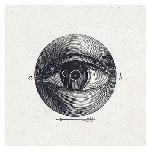 Vintage anatomische - vintage,