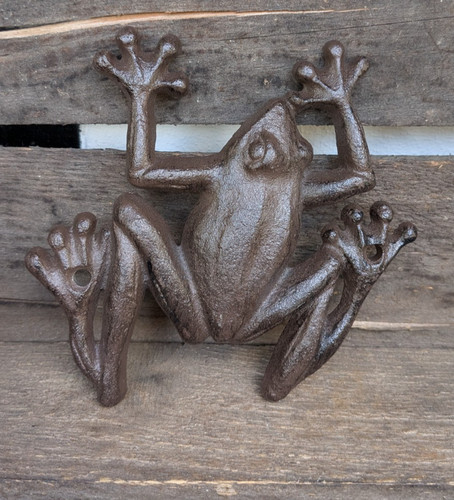 Kletternder frosch aus - frosch,