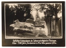 Fotografie Thüringen