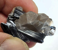 Schörl - Turmalin mit Rauchquarz vom Steinbruch Elzing Limbach - Oberf.  Sachsen