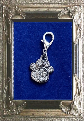 Charm anhänger knochen pfote - knochen,