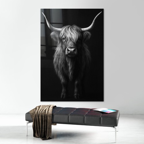 Highland kuh druck tier bild - kuh,