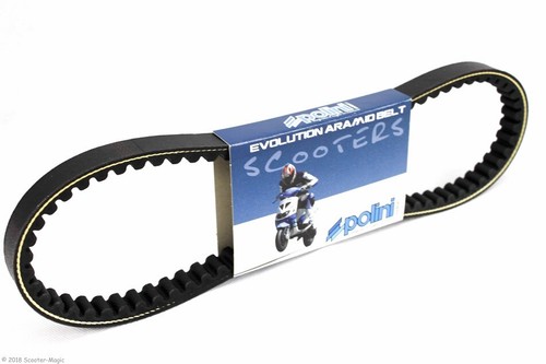 Keilriemen polini evo piaggio - evo,