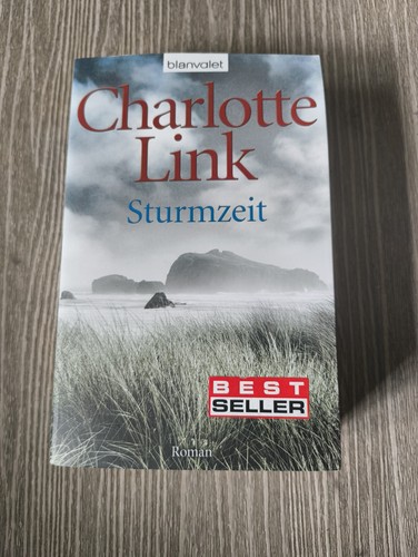 Sturmzeit roman von link - sturmzeit:,