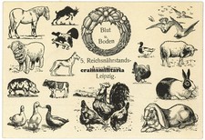 Orig. AK Postkarte 5