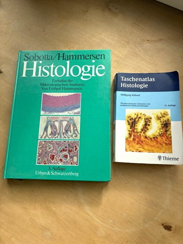 Sobotta hammersen histologie - sobotta/hammersen,