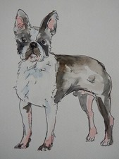 Original Hund Aquarell