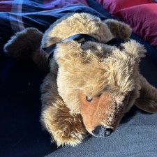 Großer steiff bruno 65cm - bruno,