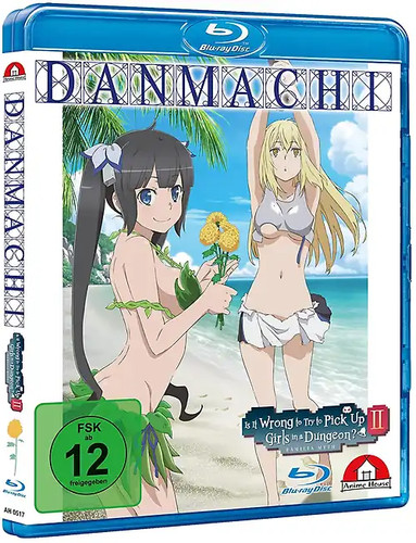 Danmachi wrong to try - is,
