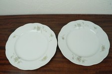 Teller Rosenthal Monbijou Grüne Ranke Classic Rose Porzellan