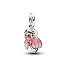 Pandora Charm 764453C01