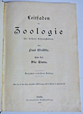 Paul Wossidlo Leitfaden der Zoologie Die Tiere Berlin 1907 - 4 Farbdrucktafeln