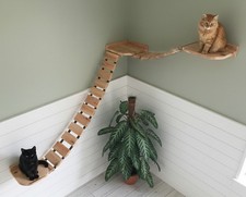 Eck-Hängebrücke mit