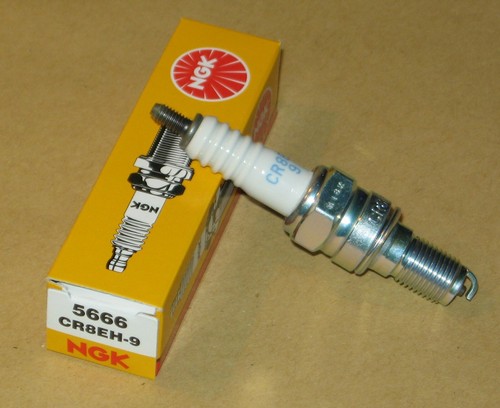 Zündkerze ngk für - für, s3