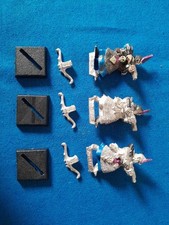 Warhammer Fantasy Dunkelelfen