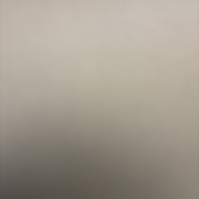 Rehwild-Fleisch/Teilstücke/Wi