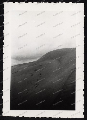 Foto-Nidden-Kurische