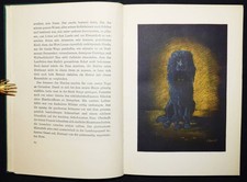 Welti - Famulus der seltsame