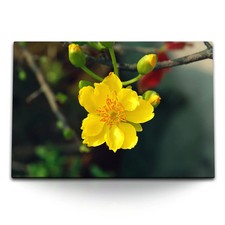 120x80cm Wandbild auf Leinwand