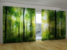 Fotogardinen wald vorhang - fotogardinen,
