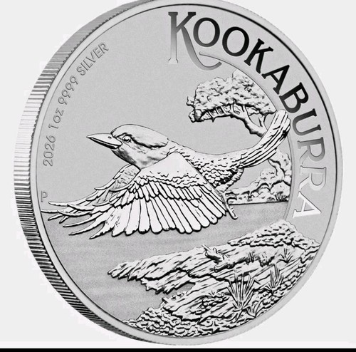 Australien kookaburra 2026 - kookaburra, 1