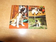 AK BERNHARDINER MIT  WELPEN / HUNDE / NF / KARTE AUS DER SCHWEIZ