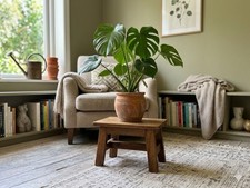 SONDERPREIS Blumenhocker