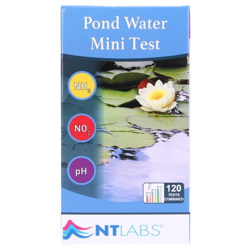 Labs fisch teich wasser - labs,